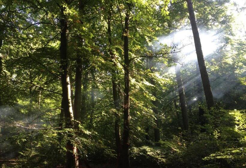 펜션 Ferien Hohes Elbufer