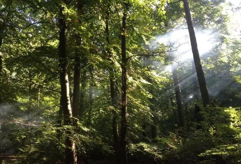 ペンション Ferien Hohes Elbufer