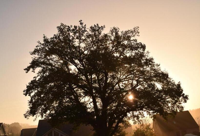 펜션 Ferien Hohes Elbufer