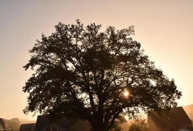 ペンション Ferien Hohes Elbufer