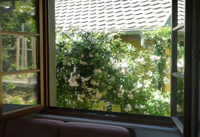 بنسيون La Pomme De Pin