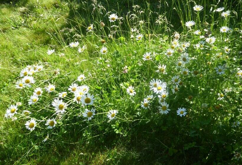 펜션 La Pomme De Pin