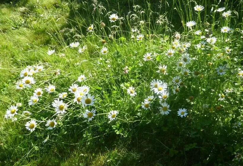 Majatalo La Pomme De Pin