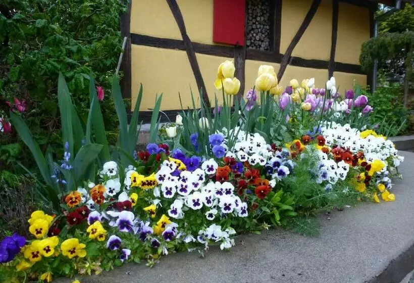 Majatalo La Pomme De Pin