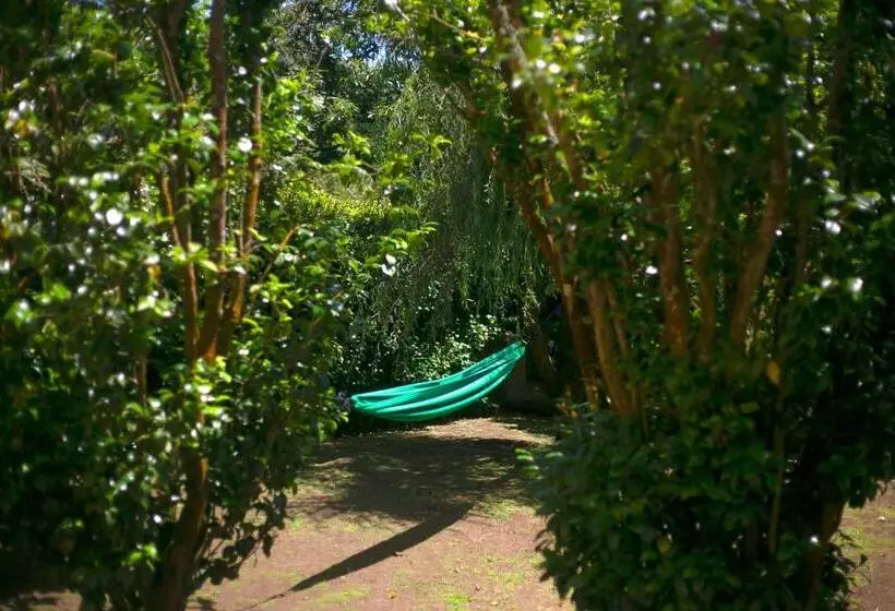 ペンション Villa Várzea   Garden Suite