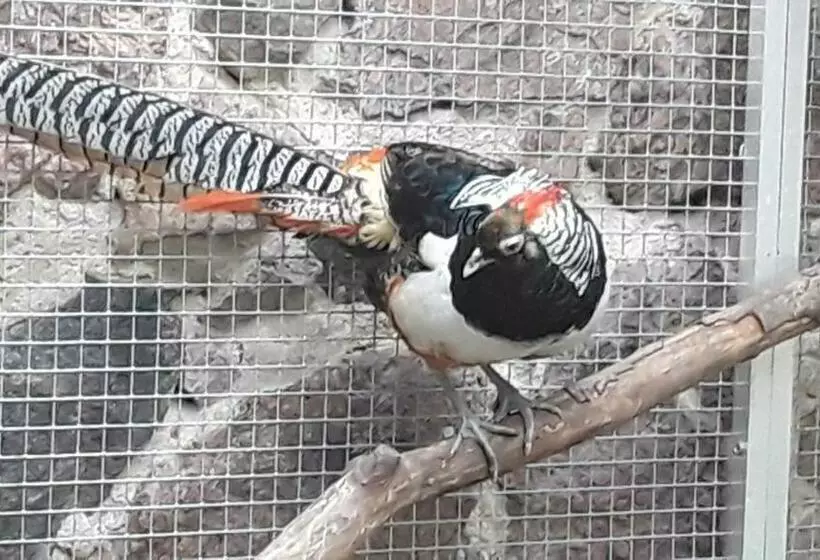 Pension Sommer Locktow