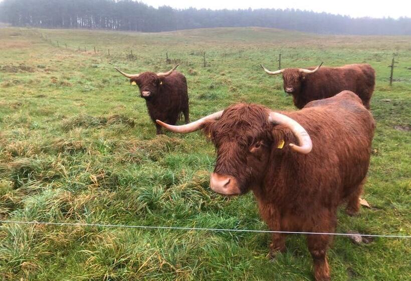 Sanddala Bed & Breakfast