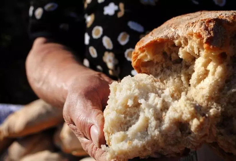 Aamiaismajoitus (B&B) Agropensiunea Maria