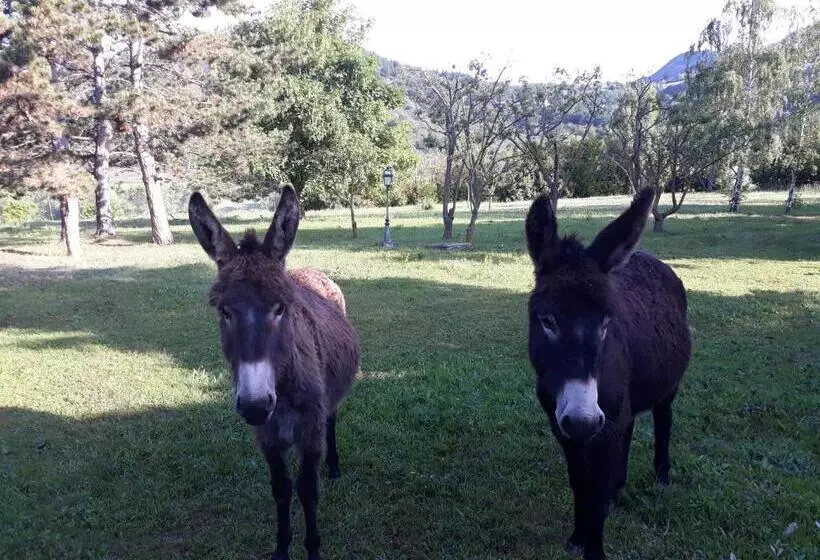 Aamiaismajoitus (B&B) Chambre D Hôtes La Citadelle