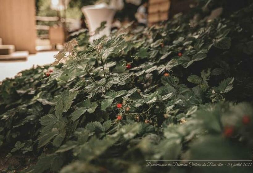 مبيت وإفطار Château D Isabel