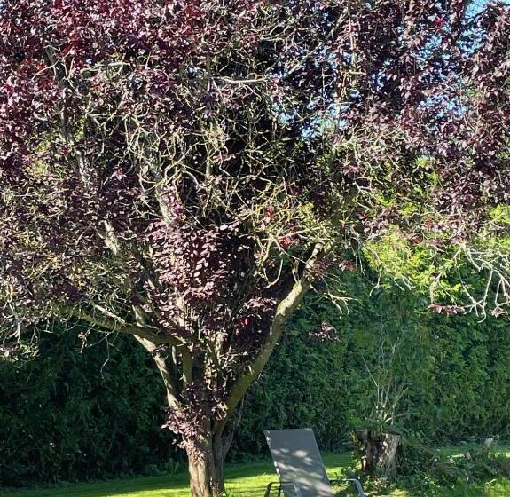 Aamiaismajoitus (B&B) Haus Kristal