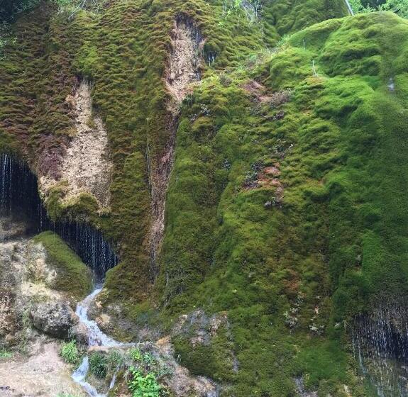 Aamiaismajoitus (B&B) Haus Kristal