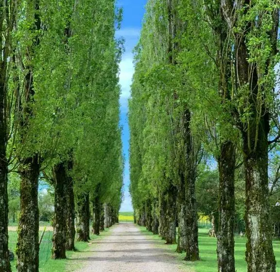 ベッドアンドブレックファースト L’allée Des Peupliers