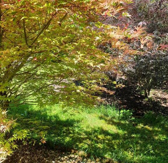 צימר Les érables