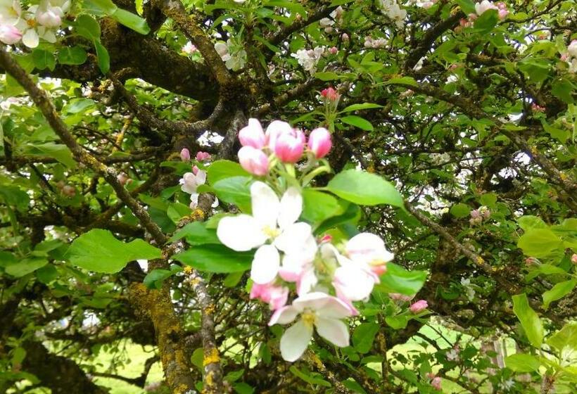 ベッドアンドブレックファースト S Husli