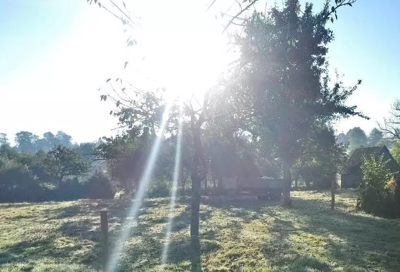 Frenes B&b
