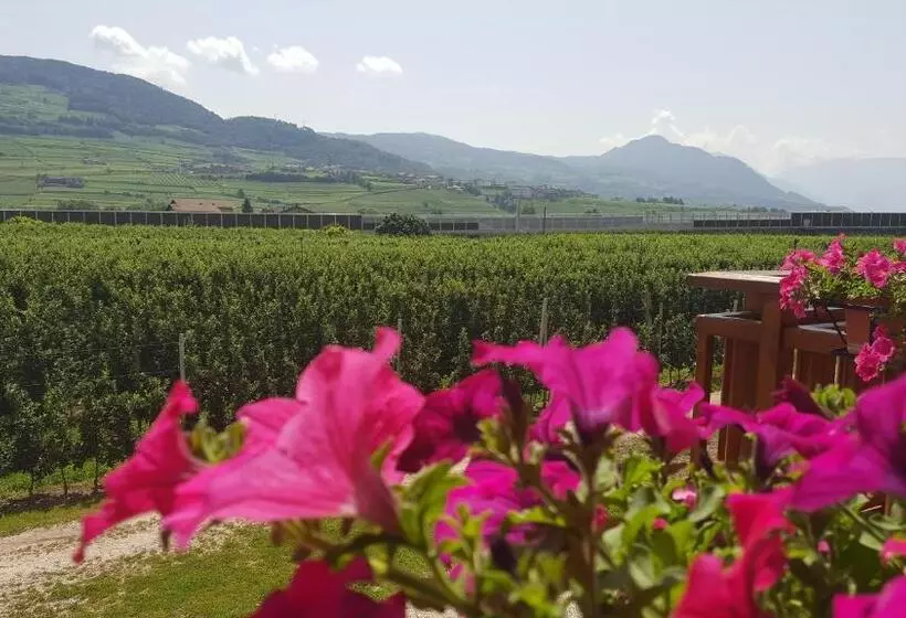 ホテル Agritur Clementi