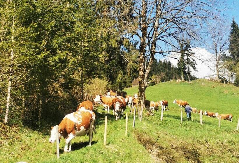 Отель Biobauernhof Und Ferienhaus Riederbauer