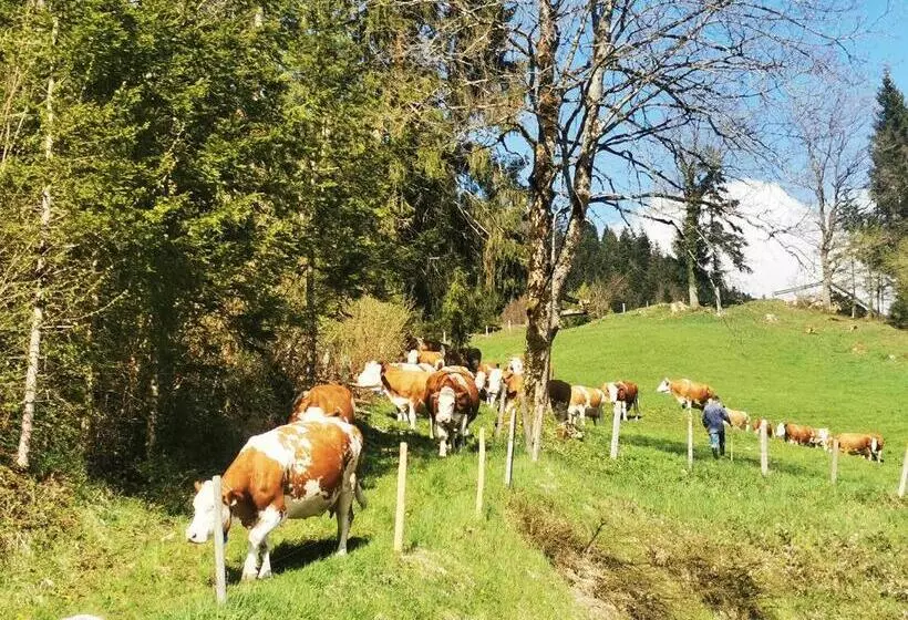 ホテル Biobauernhof Und Ferienhaus Riederbauer