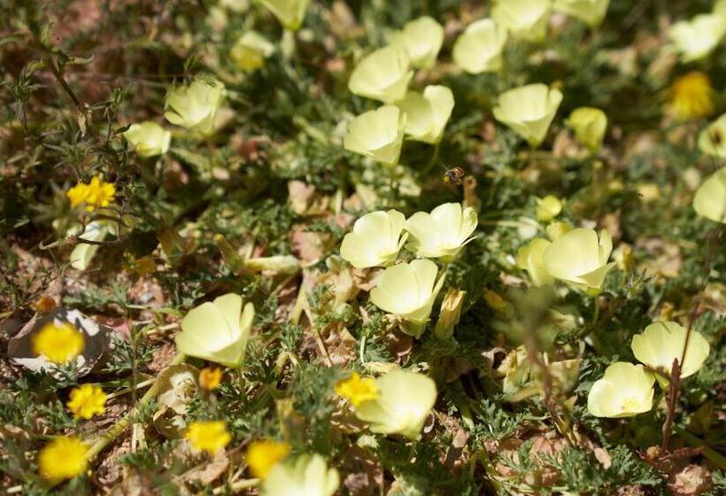 בית מלון כפרי Jakkalswater Guest Farm