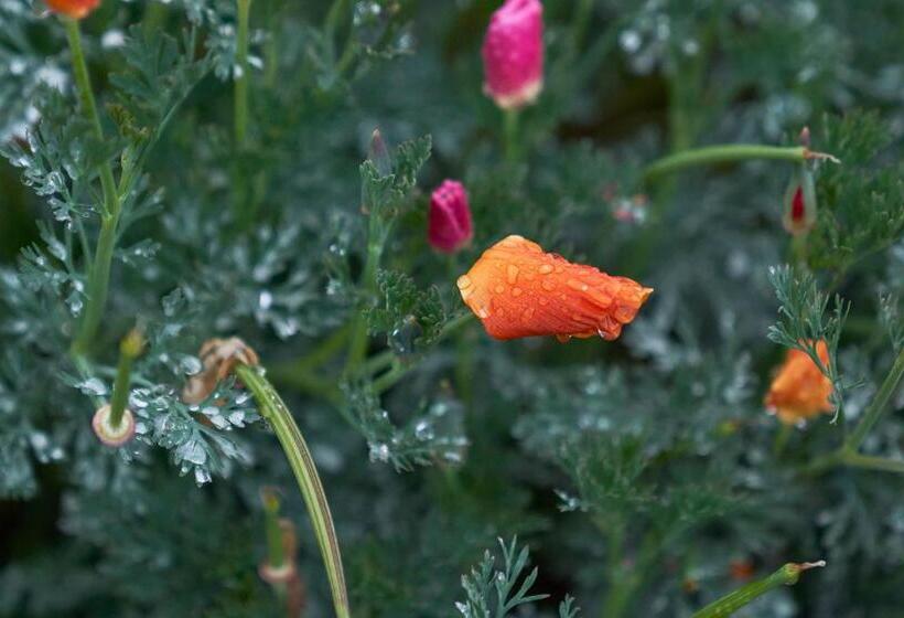 בית מלון כפרי Jakkalswater Guest Farm