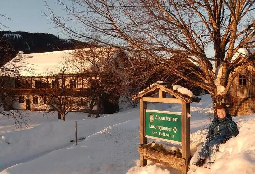 Otel Lassingbauer