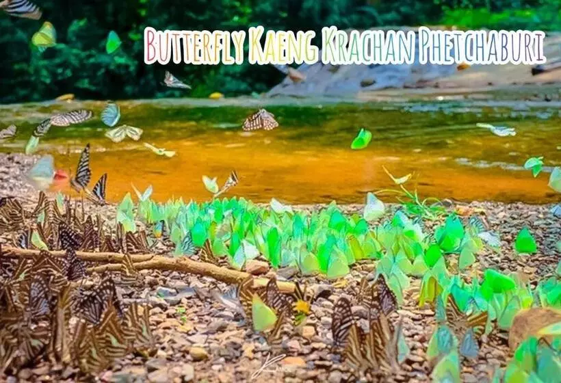 ペンション Baan Rai Pray Rung Kaeng Krachan