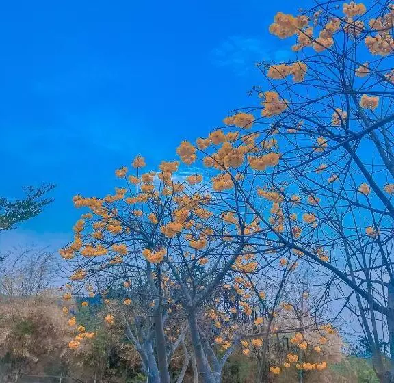 ペンション Baan Rai Pray Rung Kaeng Krachan