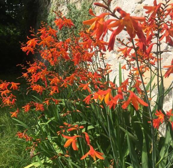 פנסיון Clos Remy Maison D Hôtes