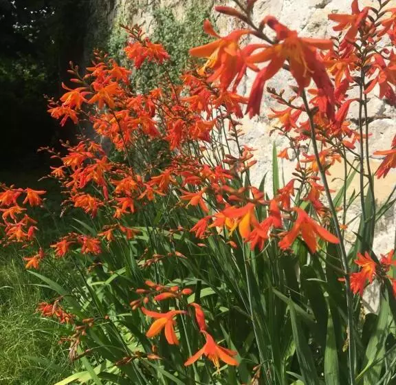 Majatalo Clos Remy Maison D Hôtes