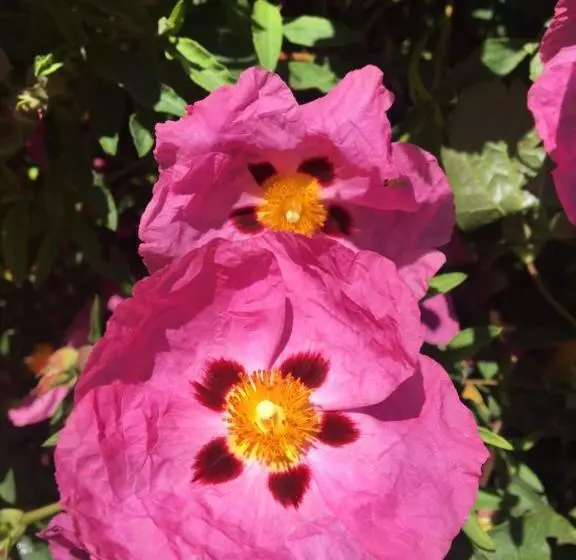 Majatalo Clos Remy Maison D Hôtes