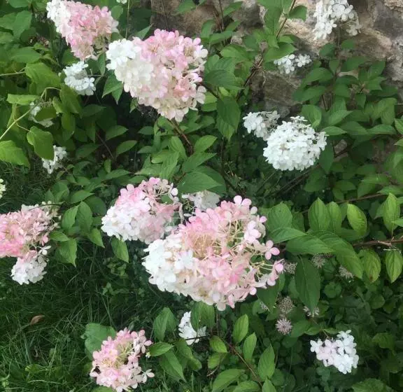 Majatalo Clos Remy Maison D Hôtes