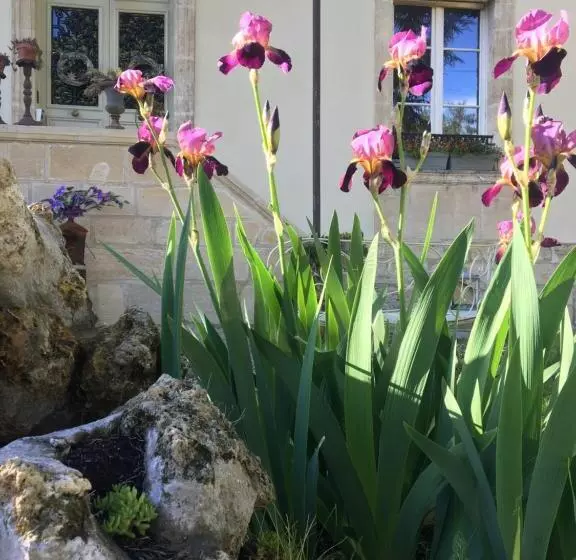 Majatalo Clos Remy Maison D Hôtes