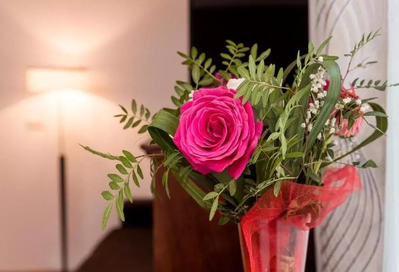 Majatalo Enigma Bucovinei