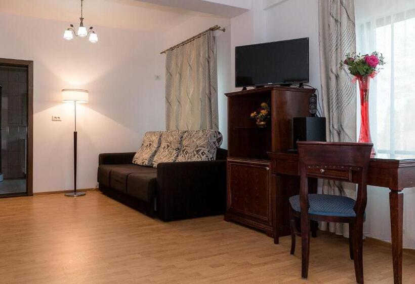 Pensão Enigma Bucovinei