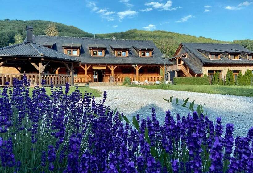 Pensão Penzión Driečna