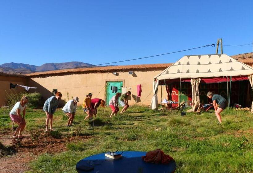 بنسيون Zen Ecolodge