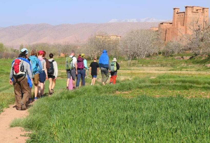 بنسيون Zen Ecolodge