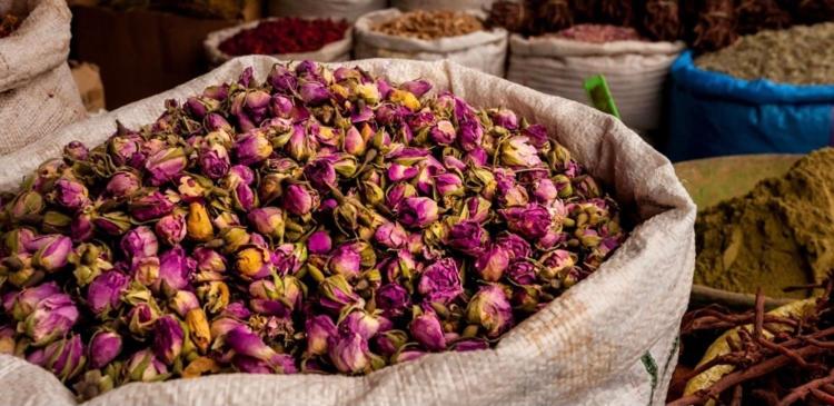 بنسيون Zen Ecolodge