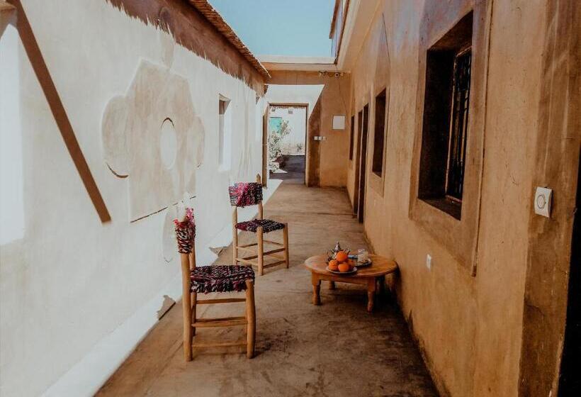 بنسيون Zen Ecolodge