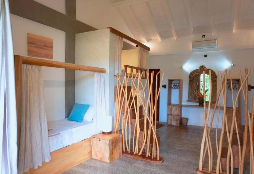 הוסטל The Jungalows