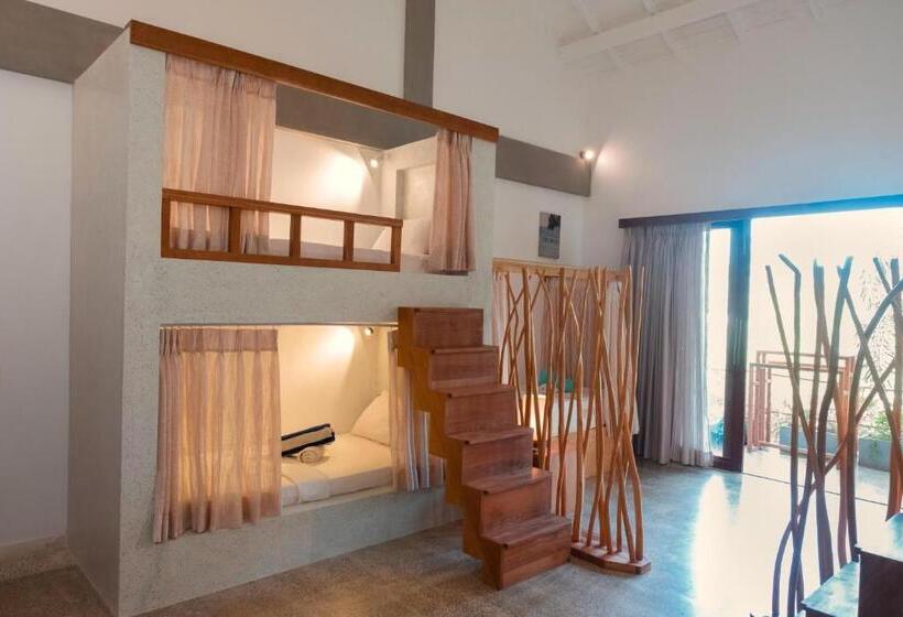 הוסטל The Jungalows