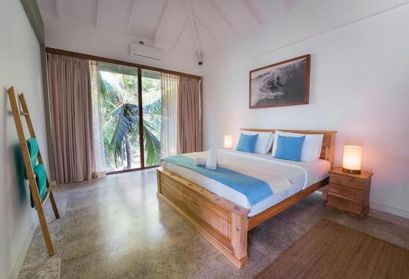 הוסטל The Jungalows