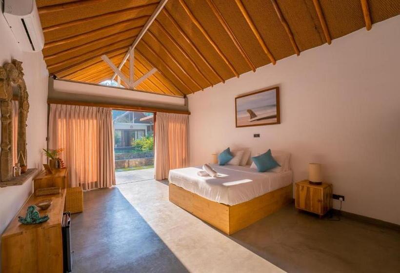 הוסטל The Jungalows