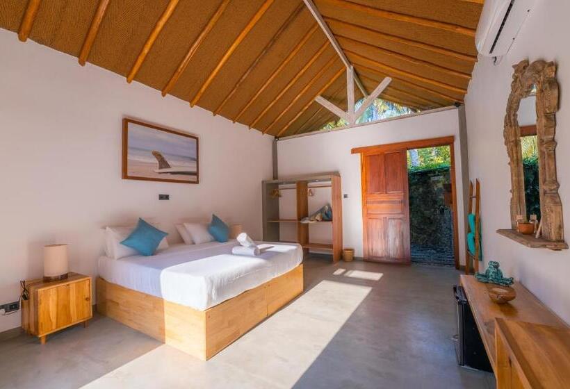 הוסטל The Jungalows