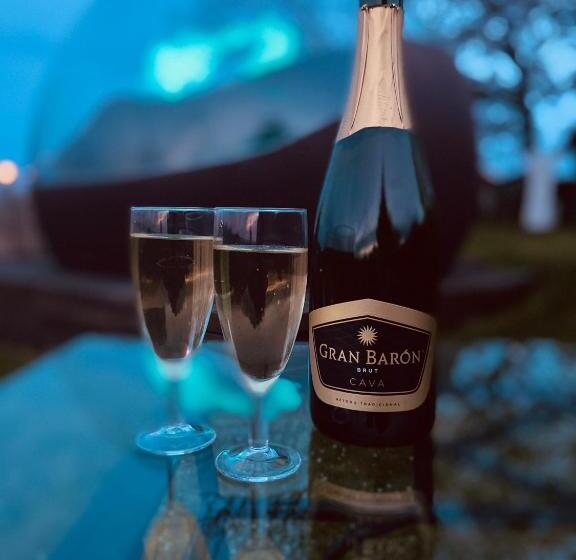 민박 Bulle D Evasion Silly Près De Pairi Daiza