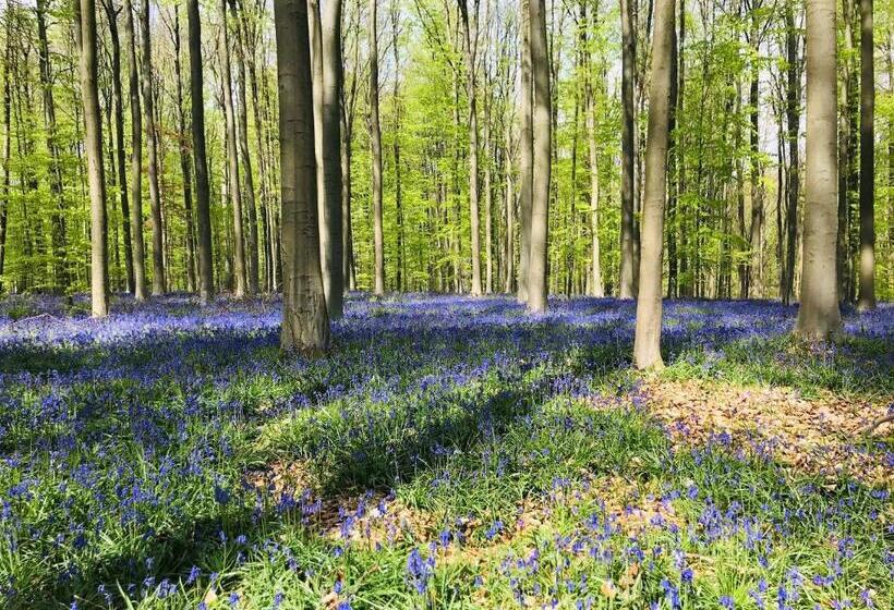 민박 Bulle D Evasion Silly Près De Pairi Daiza