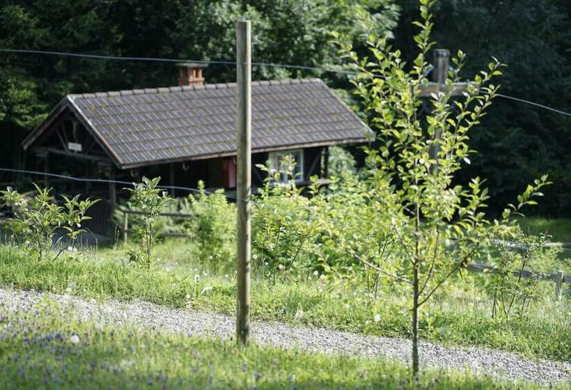 פנסיון Haus Ingrüne