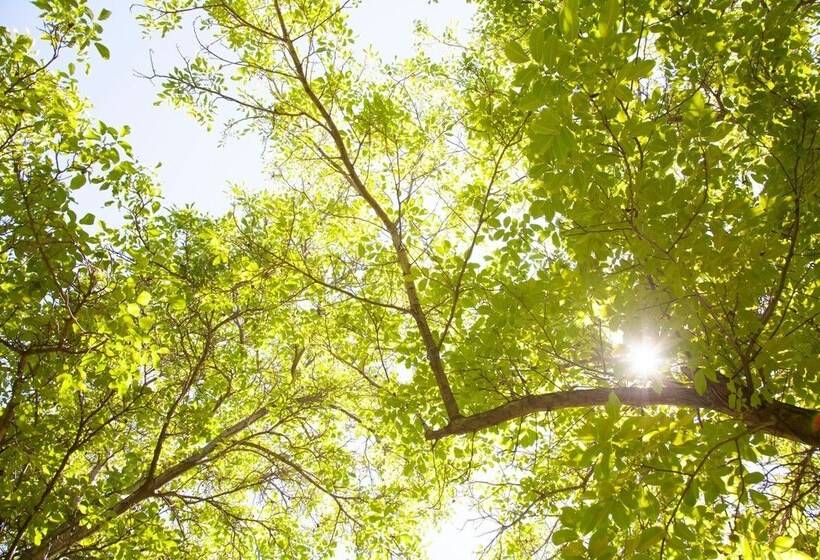 هتل Lodge Andino El Ingenio