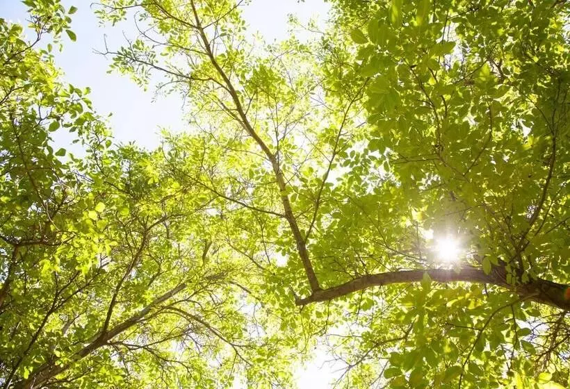 Hotelli Lodge Andino El Ingenio